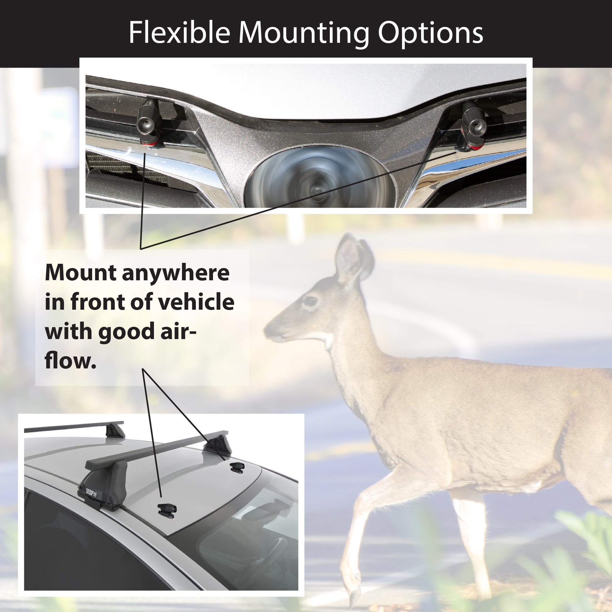 4 Deer Whistles Wildlife Warning Device Animal Sonic Alert Car Safety  Accessory - Simpson Advanced Chiropractic & Medical Center